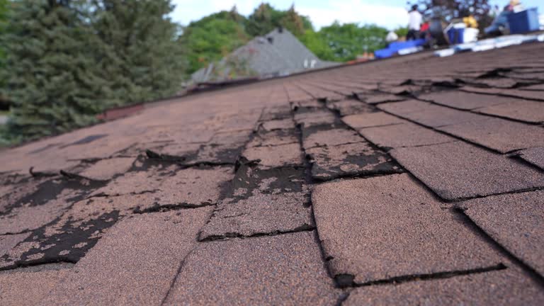 Best Roof Insulation Installation  in USA